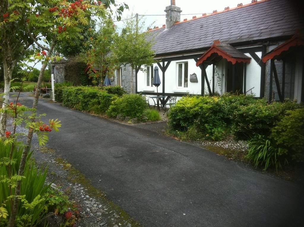 Caheroyn House Bed and Breakfast Athenry Exterior foto