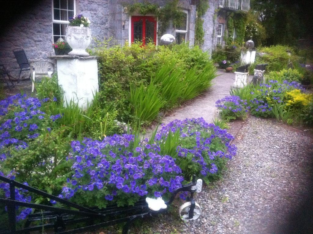 Caheroyn House Bed and Breakfast Athenry Exterior foto