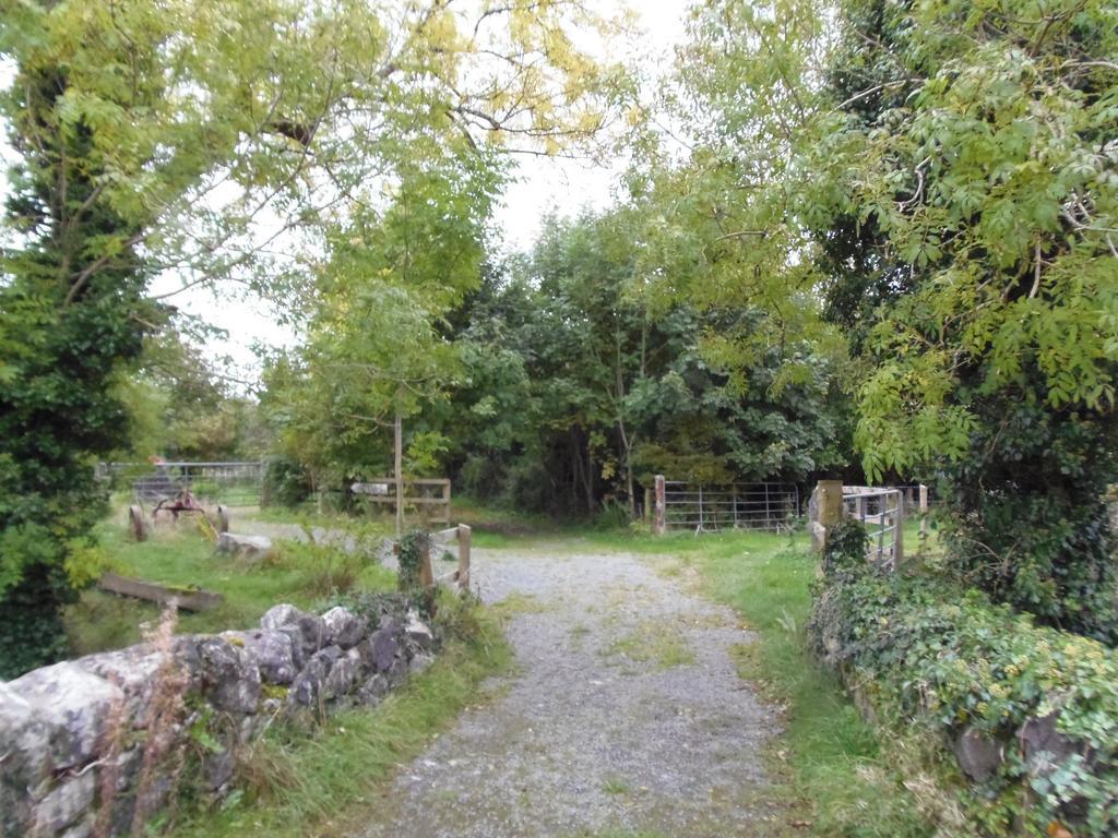 Caheroyn House Bed and Breakfast Athenry Exterior foto